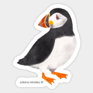 Puffin Bird Sticker